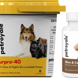 Dog Growth Powder , Dog Skin and Coat tablets For Dog Skin, Fur, Hair, Dog Food Pet Health Supplements-image-52