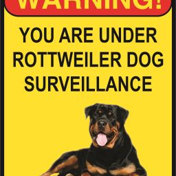 Beware of The Dog Safety Warning Sign Board For Home office (Size 10x8 Inch) Emergency Sign-image-48