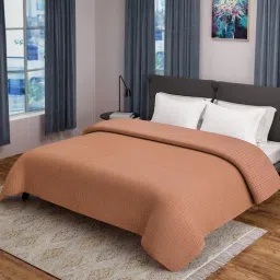 saral home Beige Solid 500 TC 100% Cotton Double Bed Cover-picture-37