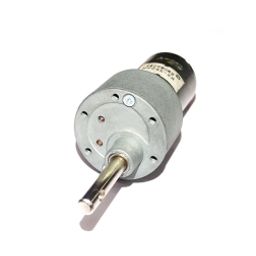 Johnson Geared Motor (B Grade) 30 RPM-28