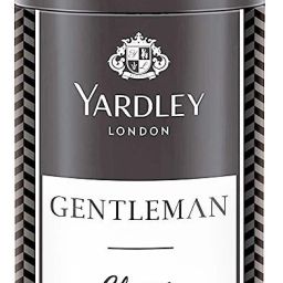 Gentleman Classic Perfume Body Spray - For Men-23
