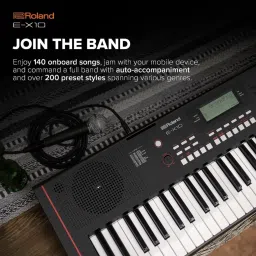 roland E-X10 KEYBOARD + CARRY CASE + DOUBLE PIPE STAND Digital Arranger Keyboard image 4