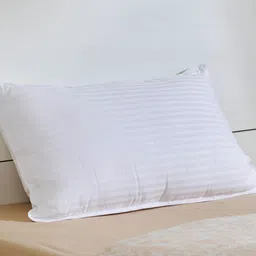 Home Centre White Cotton Sleep Pillow-22