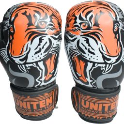 Boxing Gloves Boxing Gloves-image-34