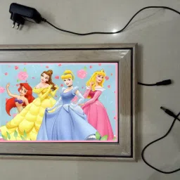 , CINDERELLA MODAL NO-67 , 15.5 inch LED PHOTO FRAME-image-12