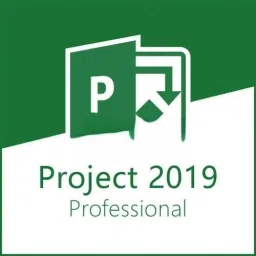 MICROSOFT Project Professional 2019 (1 User, Lifetime Validity) For Windows-image-47