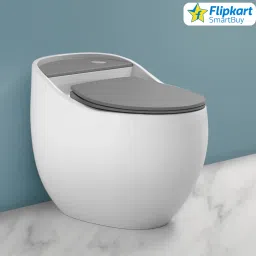 New modern home bathroom toilet commode round egg shaped toilet bowl Preimum Grade Ceramic's One Piece FloorMounted Commode Western Commode-16