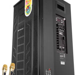 ZEBRONICS ZEB-PRO 2X15L1 (METAL PRO) with Dual Wireless Mic, 150 W Bluetooth Party Speaker-26