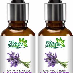 Lavender Oil, Choice For Aromatherapy, Massage - Lavender Essential Oil-image-30