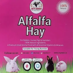 Alfalfa Hay 5 kg Dry Adult Rabbit Food-6