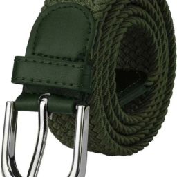 Women Casual, Evening, Party Green Fabric Belt-image-46
