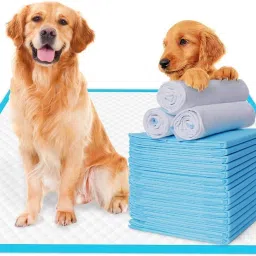 Dog Pee/Potty Training Sheet-Quick Drying Surface and Absorbent Disposable Dog Diapers-image-40