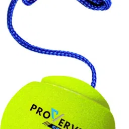 Cricket Tennis Hanging Practice ball Heavy for Indoor/Outdoor Knocking Cricket Training Ball-image-21