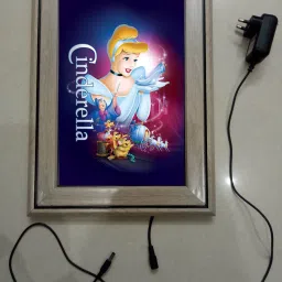 , CINDERELLA MODAL NO-38 , 15.5 inch LED PHOTO FRAME-picture-34