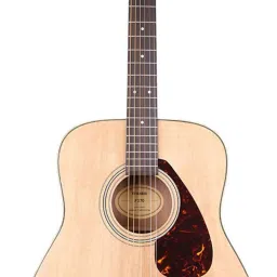 F370 Acoustic Guitar Linden Wood Carbon Fibre Right Hand Orientation-picture-19
