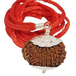 SreeGems 17 Mukhi Rudraksha Original Certified 17 Face Rudraksha with Silver Capping 17 Mukhi Rudraksha Nepali Blessed By Vishwakarma Natural Satrah Mukhi Rudraksha 17 मुखी रुद्राक्ष 17 Mukhi Rudraksha Pendant image 1