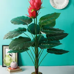 Aesthetic Home Solutions Red & Green Artificial Calla Lilly Faux Plant With Black Pot-picture-45