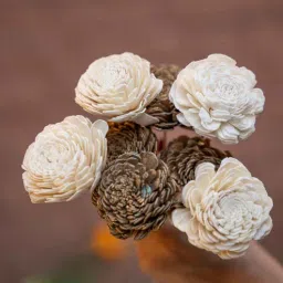 artecasa Sola Golden And White Set of 4 White And 4 Golden Natural Dried Flowers-picture-1