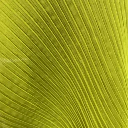 Unstitched Georgette Multipurpose Running Fabric Self Design-picture-17