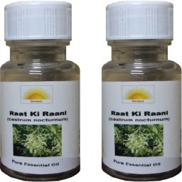 Raat Ki Raani Aroma Oil-image-29