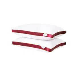 sleepsia Luxury Red Microfiber 24x16 Inch Pillows (Set of2)-picture-9