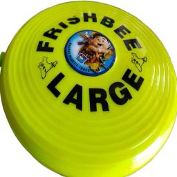WA0004_3 Plastic Sports Frisbee-image-81