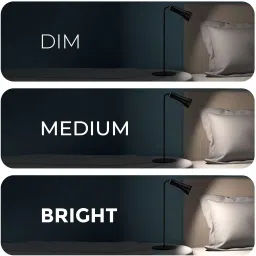 xech Multifunctional Table Lamp with Clamp & Stick Attachment & Rechargeable Battery Table Lamp image 5