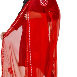 Chiffon Embellished Red Women Dupatta-image-11