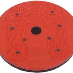 2 in 1 tummy twister Ab Exerciser Ab Exerciser-13