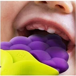 first trend Star Nibbler Fruit Shape Silicone Teether Soother with Baby Fruit Nibbler Teether image 2