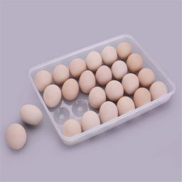 Egg holder Egg Holder-image-94
