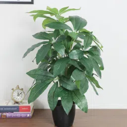 arick decor 2.2Ft Artificial Guiana Chestnut Plants With Black Pot 18 Leaves-picture-29