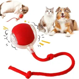 decorvaiz Smart LED 360° Rotating Cat Toy Ball Cat Dancing Ball Pet Rolling Ball Silicone Ball For Dog & Cat-image-98