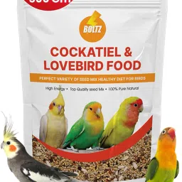 Adult Bird Food for Cockatiel & Lovebirds Mix Seeds 500g Dry Adult Bird Food 0.5 kg Dry New Born Bird Food-picture-17