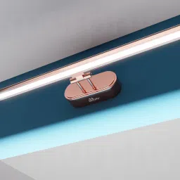 Picture Light Wall Lamp With Bulb-picture-18