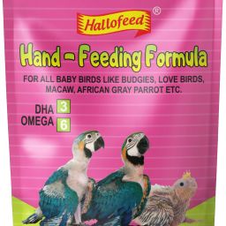 Hand Feeding Formula for Baby Bird Food - 50 gm 0.002 kg Dry New Born Bird Food-10