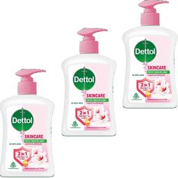 Liquid Handwash Bottle Pump For Refresh & Germs Protect Hand Pack of - 200ml x 3 Hand Wash-image-37