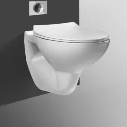 2008 WALL HUNG P trap With Soft Close Seat Cover WC (White) Western Commode-11