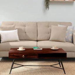 woodsworth from pepperfry Goines Sheesham Wood Coffee Table in Scratch Resistant Honey Oak Finish-picture-15
