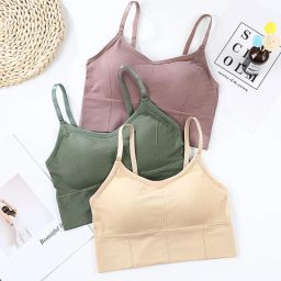 Pack of 3 Women Everyday Lightly Padded Bra-image-145