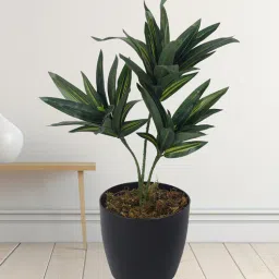 Arick Decor 15 Inch Artificial Dracaena Plants With Black Pot-picture-27