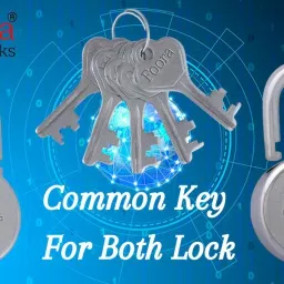 foora Lock 65mm 2 Padlock with Common (Same) 5 Keys, ( ON DEMAND ) 8 Lever, Lock image 3