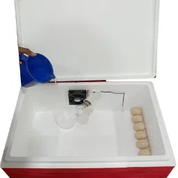 65 REDD Egg Incubator-image-66