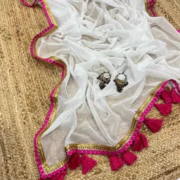 Embroidered Bollywood Georgette Saree-11