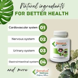renatus Nova (12 Natural Ingredients) 120 capsules image 4