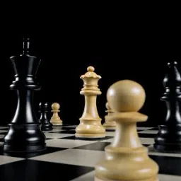 BIG CHESS BORAD /16*16 INCHES / Multicolor / SET OF 1 5 cm Chess Board-9
