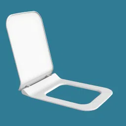 Polypropylene Toilet Seat Cover-image-27