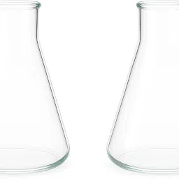 Erlenmeyer Flask-5