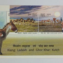 2013 - Wild Ass-Kiang LADAKH & GHOR KHAR Kutch, Miniature Sheet Stamp Stamps-image-53