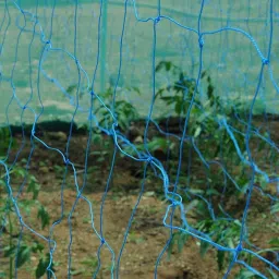 myfam Net for Passion fruit and Long Beans - 5 meter x 4 meter Insect Net image 2